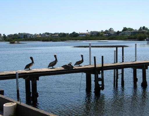 2046 Ketch Cir., Palm Harbor, FL 34683
