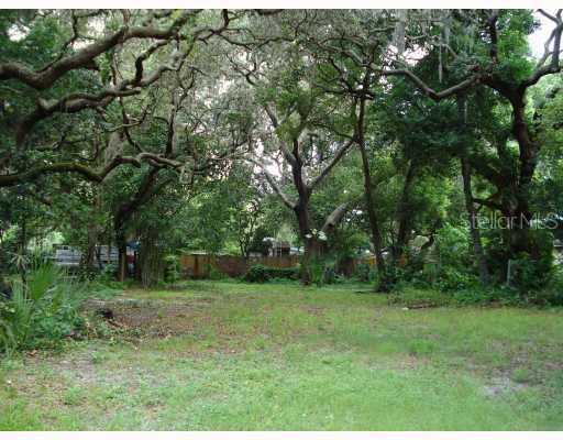 323 3rd Ave., Safety Harbor, FL 34695