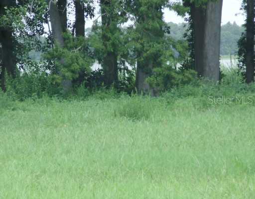 Grand Lakeside Dr., Palm Harbor, FL 34684