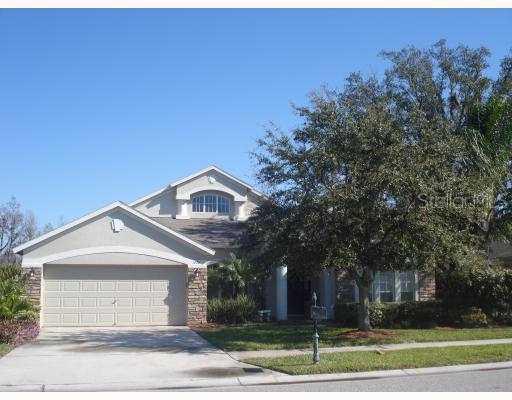1436 Tawnyberry Ct., Trinity, FL 34655