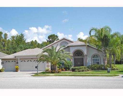 7841 Lachlan Dr., Trinity, FL 34655