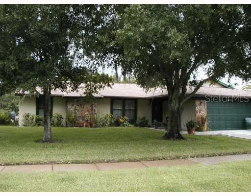 717 Satinleaf Ave., Oldsmar, FL 34677