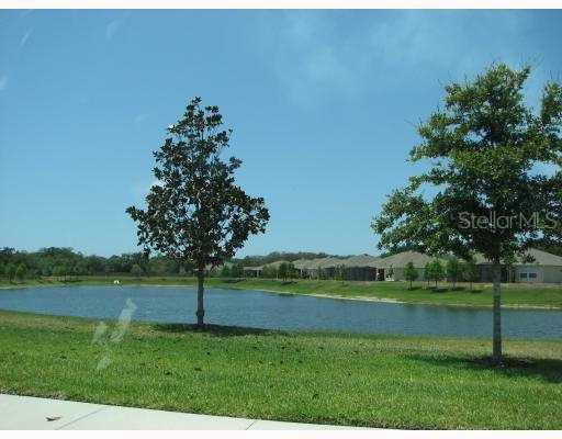 2433 Triggerfish Ct., Holiday, FL 34691