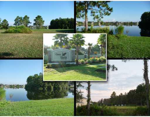 15617 Dunns Pond Ct., Odessa, FL 33556