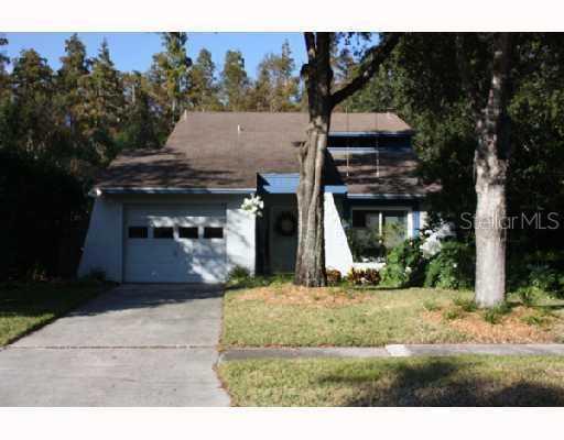 16103 Manorwood Creek, Tampa, FL 33624