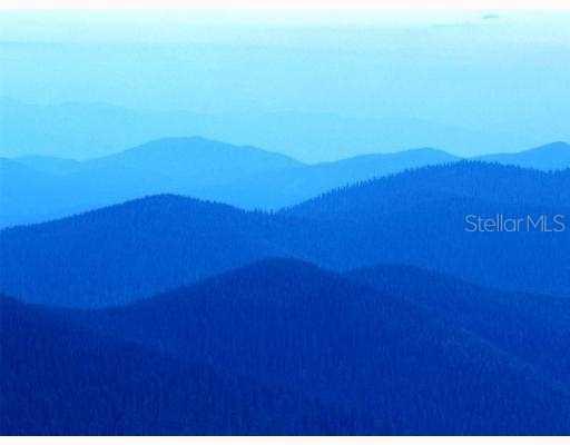 11456 Newgate Crest Dr., Riverview, FL 33579