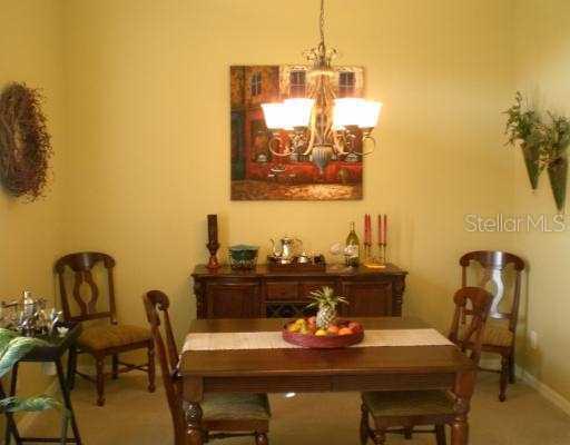 14801 Tudor Chase Dr., Tampa, FL 33626