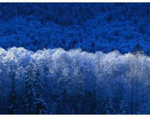 663 4th Ave., St Petersburg, FL 33701