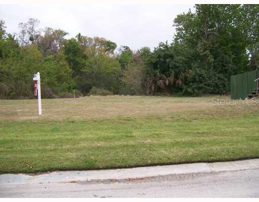 163 E Liveoak, Tarpon Springs, FL 34689