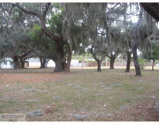 Lemon St., Palm Harbor, FL 34683