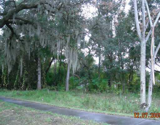 Butler St., Safety Harbor, FL 34695