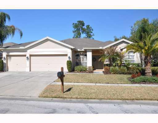 12511 Royal Dublin Ave., Odessa, FL 33556