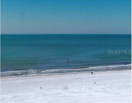 10 Papaya St. #1006, Clearwater, FL 33767