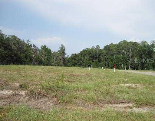 12319 Rose Haven Blvd., New Port Richey, FL 34654