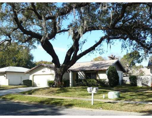 2114 Grove Valley Ave., Palm Harbor, FL 34683