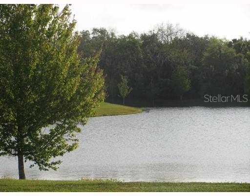 11480 Savannah Lakes Dr., Parrish, FL 34219