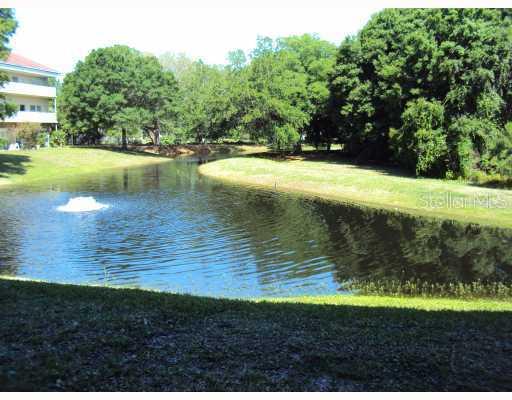 2020 Shangrila Dr. #103, Clearwater, FL 33763