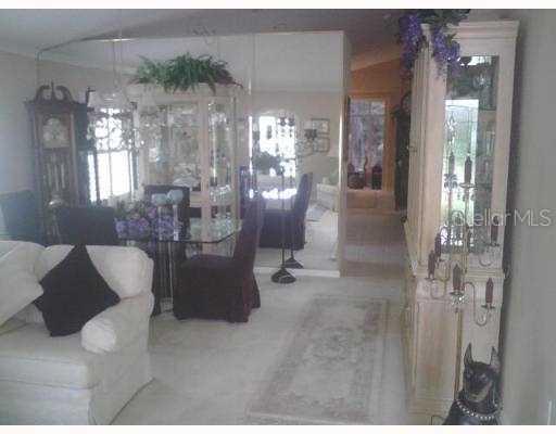 1149 Dustan Pl., Trinity, FL 34655