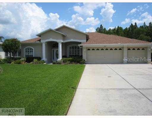 12131 Walstone Ct., Trinity, FL 34655