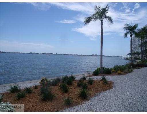 6020 Shore Blvd. #306, Gulfport, FL 33707