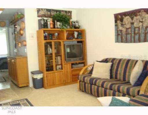 1901 Brinson Rd. #E15, Lutz, FL 33558