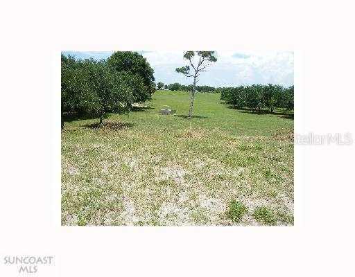 Douglas Pl., Palm Harbor, FL 34683