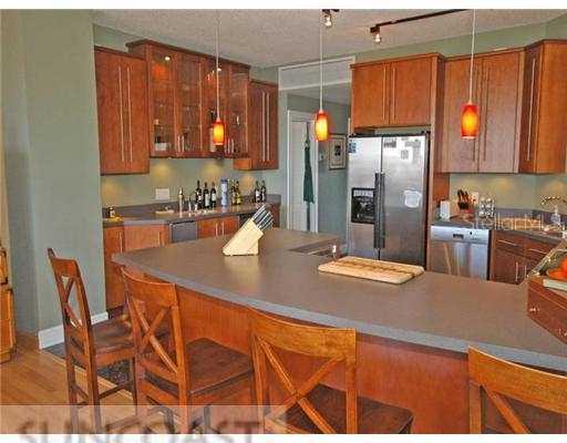 1 Beach Dr. #1308, St Petersburg, FL 33701