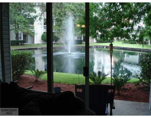 6924 Stonesthrow Cir. #8103, St Petersburg, FL 33710