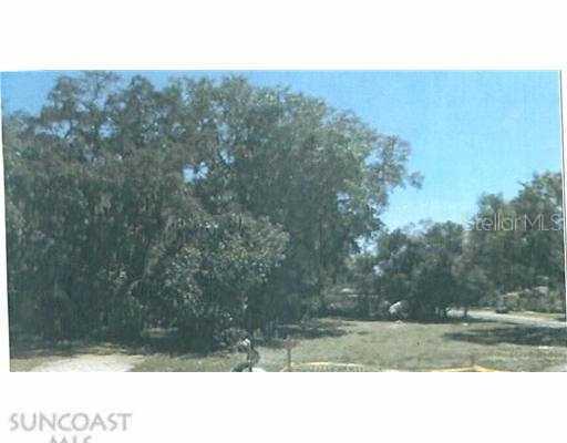 1001 Druid Rd., Clearwater, FL 33756