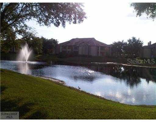 10265 Gandy Blvd. #1103, St Petersburg, FL 33702
