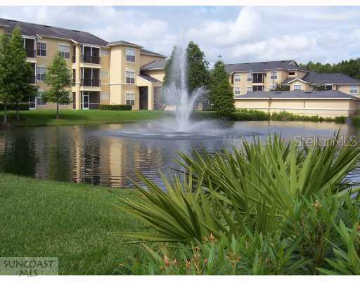 5125 Palm Springs Blvd. #12302, Tampa, FL 33647