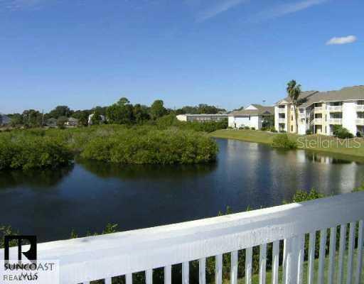 455 Alt 19 Hwy. #207, Palm Harbor, FL 34683