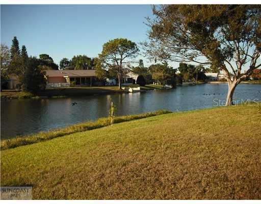 3131 Honeymoon Ln., Holiday, FL 34691