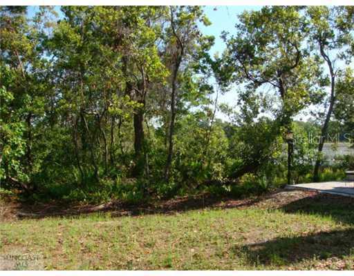 21101 Los Cabos Ct., Land O Lakes, FL 34637