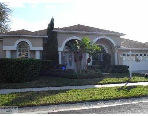 1304 Rambling Vine Ct., Trinity, FL 34655