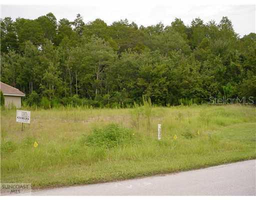 708 Sunset Dr., Tarpon Springs, FL 34689