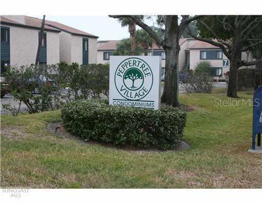 11565 7th Ln. #1601, St Petersburg, FL 33716
