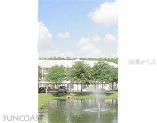 2007 Brinson Rd. #1204, Lutz, FL 33558