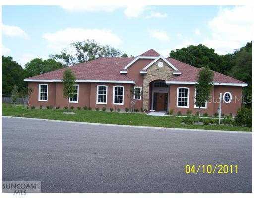 18519 Hannah Michaela Ln., Lutz, FL 33549