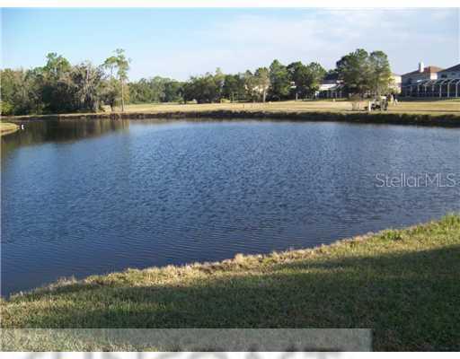 12509 Royal Dublin Ave., Odessa, FL 33556