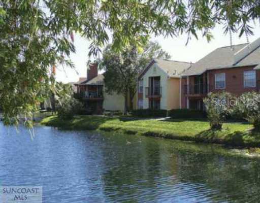 4711 S Himes Ave. #1505, Tampa, FL 33611