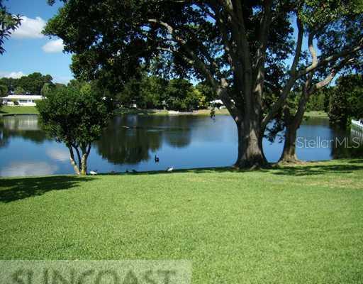 2079 Hillwood Dr., Clearwater, FL 33763