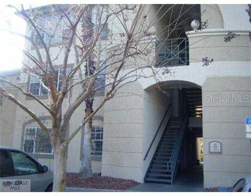 17108 Carrington Park Dr. #705, Tampa, FL 33647