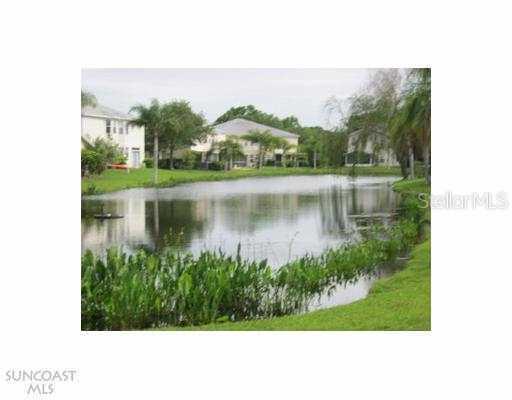 3 Emerald Bay Dr., Oldsmar, FL 34677