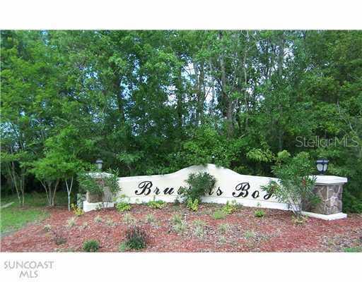 11009 Brussels Boy Ln., Riverview, FL 33578