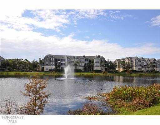 11850 Dr Mi King Jr St N #52 St. #5206, St Petersburg, FL 33716