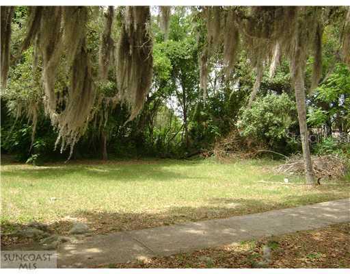 Butler St., Safety Harbor, FL 34695