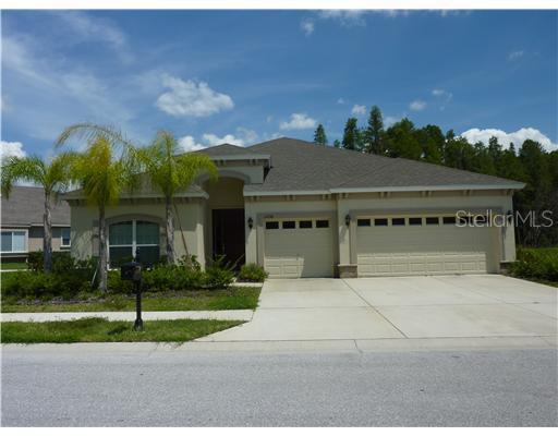 14938 Man O War Dr., Odessa, FL 33556