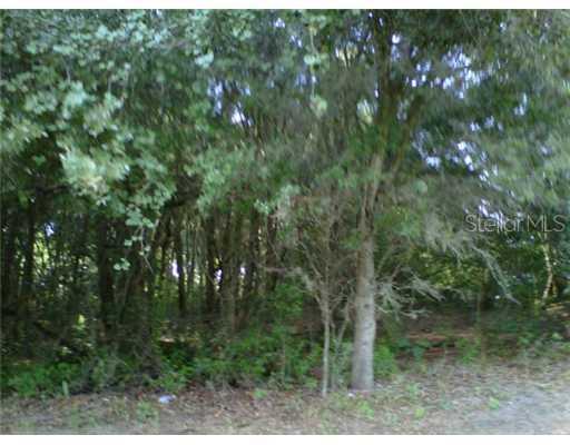 11644 Bessie Dix Rd., Seffner, FL 33584