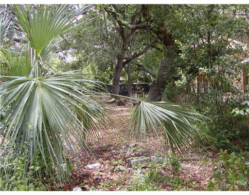 N 3rd Ave., Safety Harbor, FL 34695